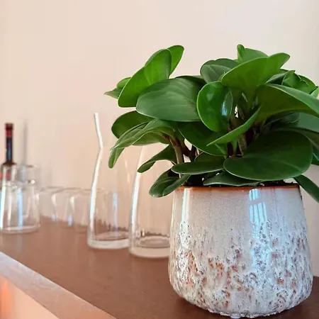 アパート Ultra Lux 3bed-2bath With Sauna Next To Vondelpark